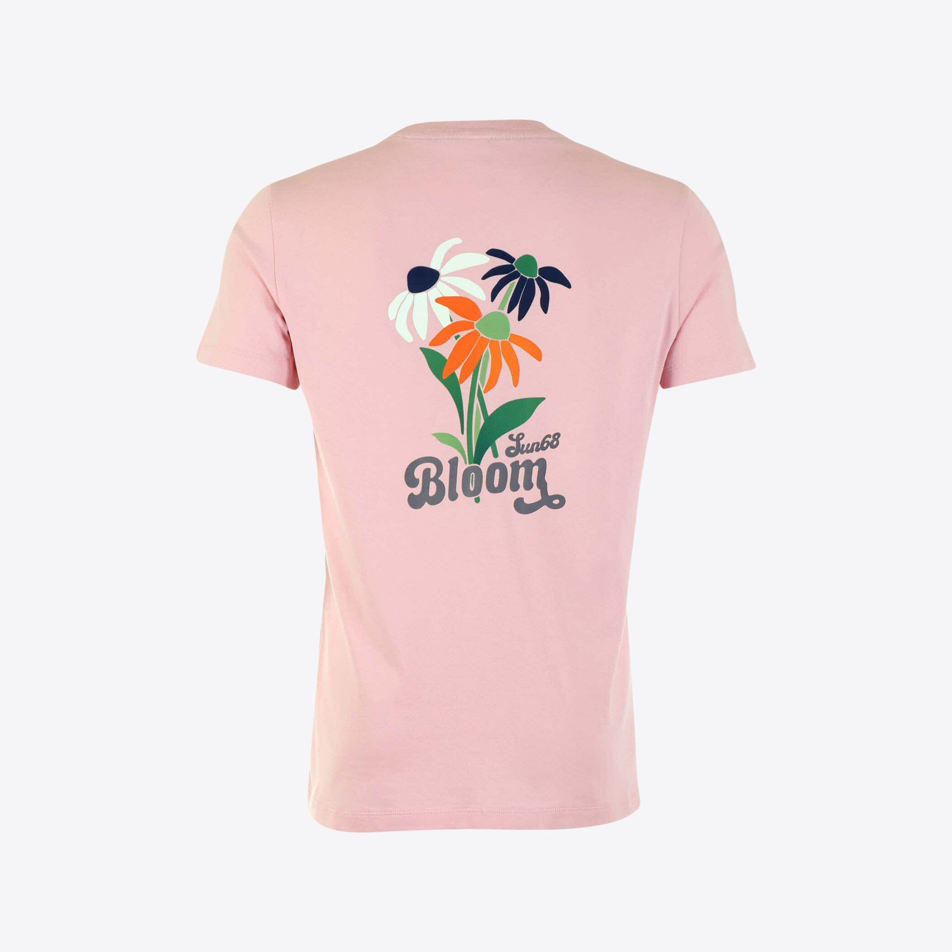 ROZE