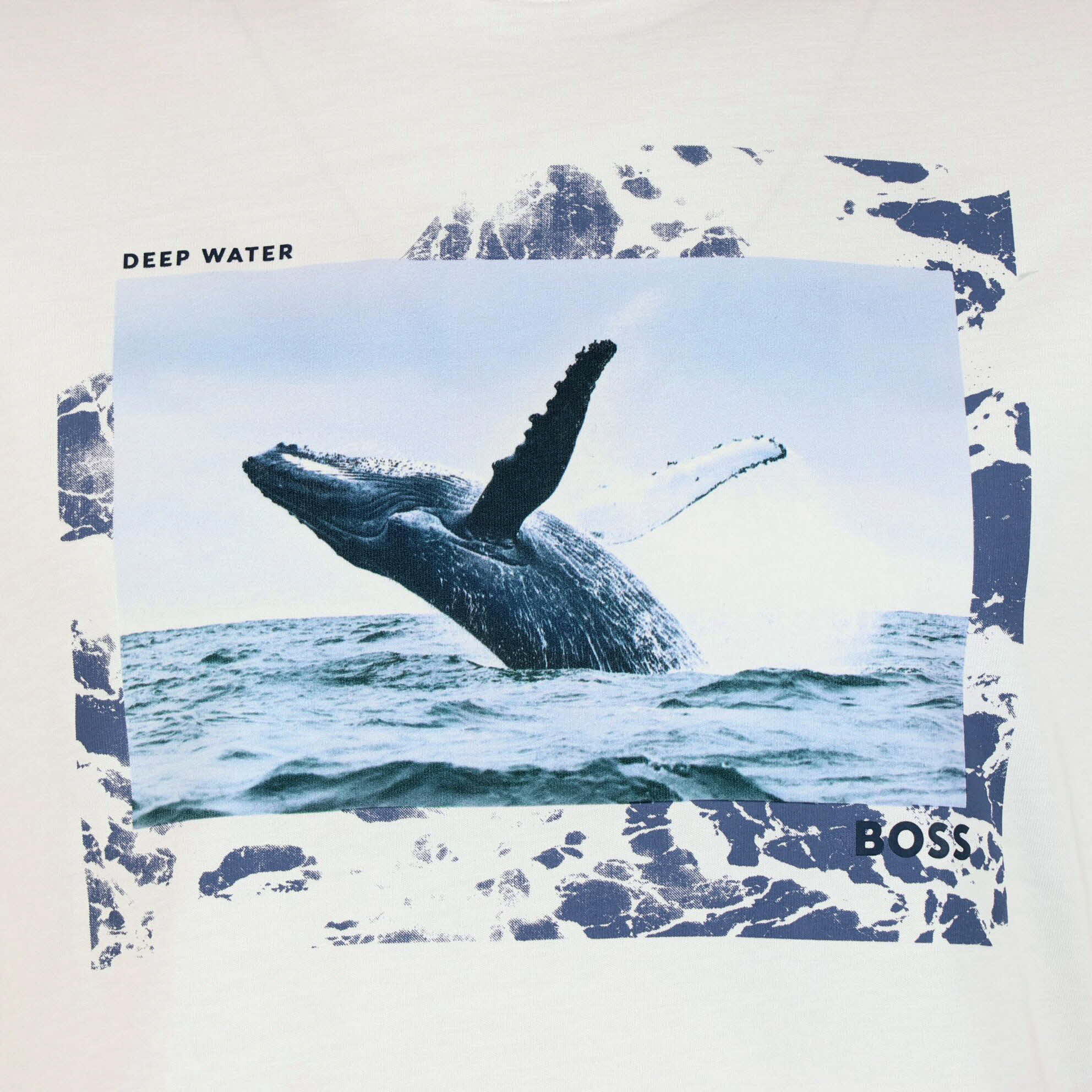 WIT