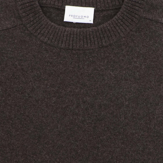 Pull bruin  wol