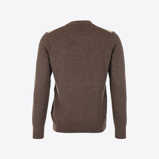 Pull bruin  ruit